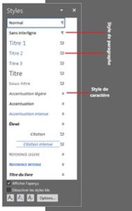 Formation Word à distance - Panneau Styles
