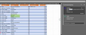 Tableau Excel avec des données et un volet commentaire