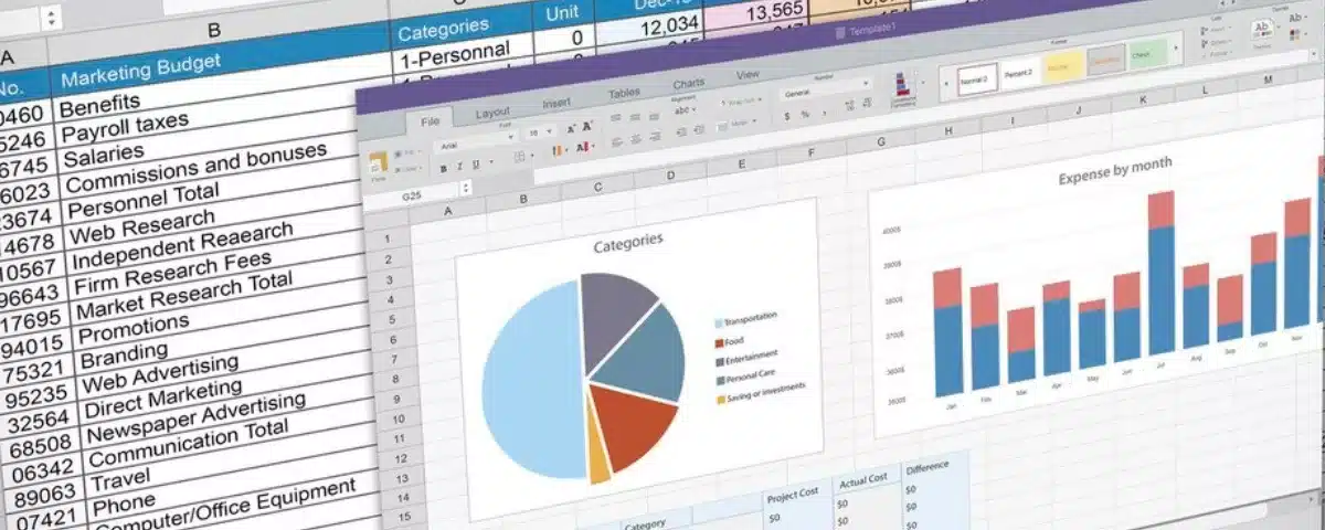 Interface de tableur affichant un budget prévisionnel avec diagrammes circulaires et histogrammes pour le pilotage d'activité.