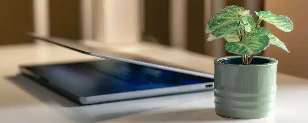 Ordinateur portable en veille à côté d'une plante verte sur un bureau, illustrant les bonnes pratiques du numérique responsable au quotidien.
